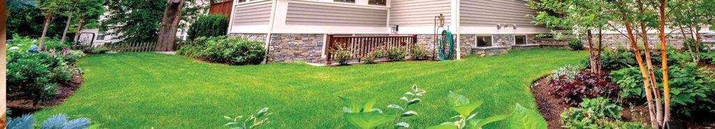 ABC Free Quote Header