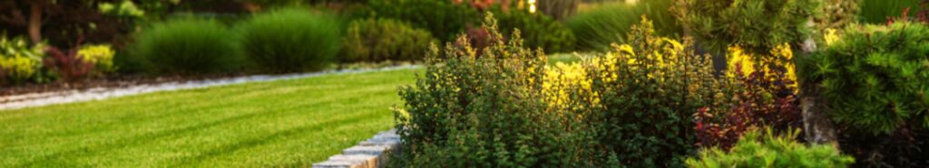 ABC Yard and Maintenance Header